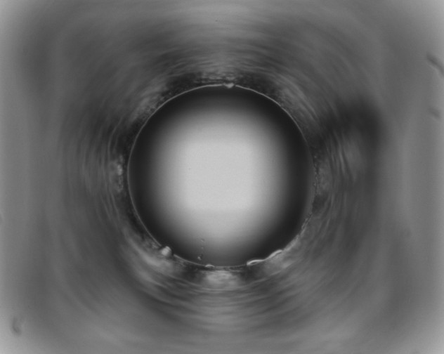 X0000095960183200801111410