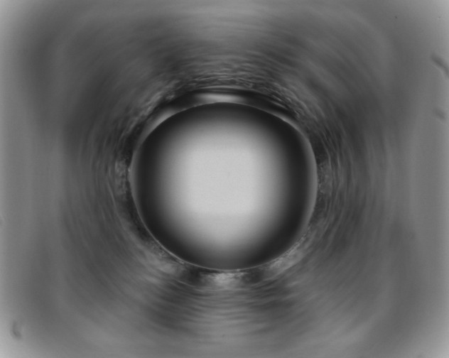 X0000095960184200801111410