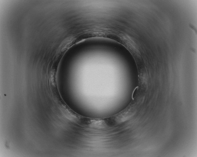 X0000095960185200801111410