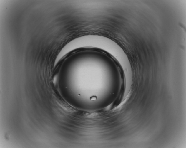 X0000095960186200801111410