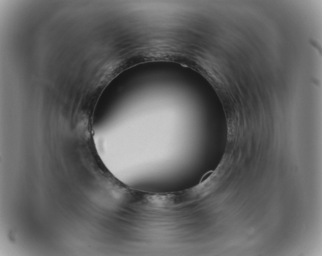 X0000095960187200801111410