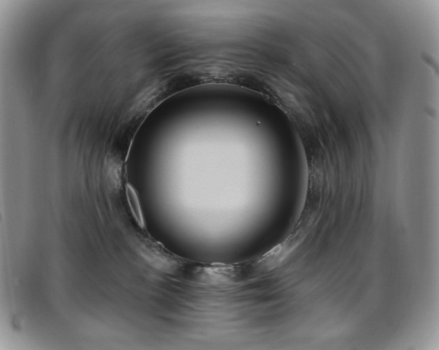 X0000095960188200801111410