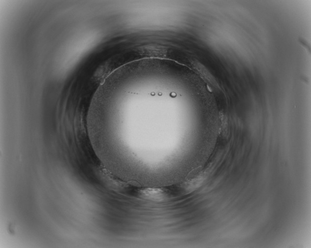 X0000095960189200801111410