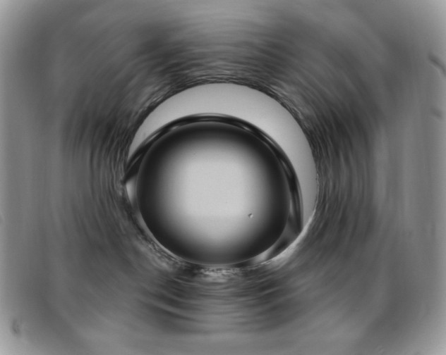 X0000095960190200801111410