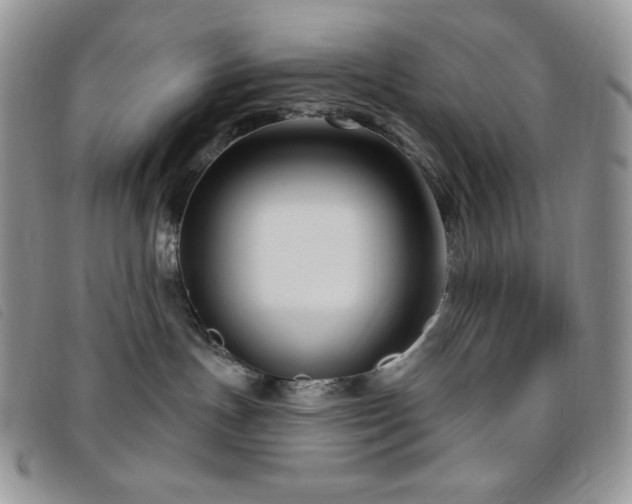 X0000095960191200801111410