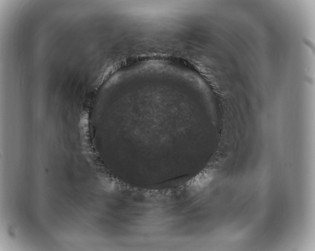 X0000095960192200801111410