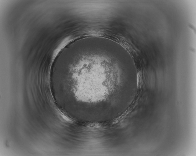 X0000095960195200801111409