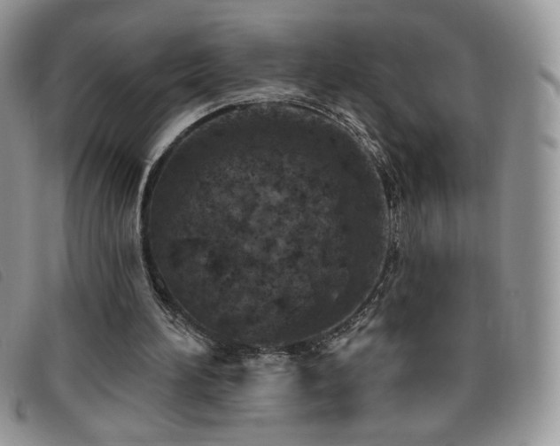 X0000095960196200801111409