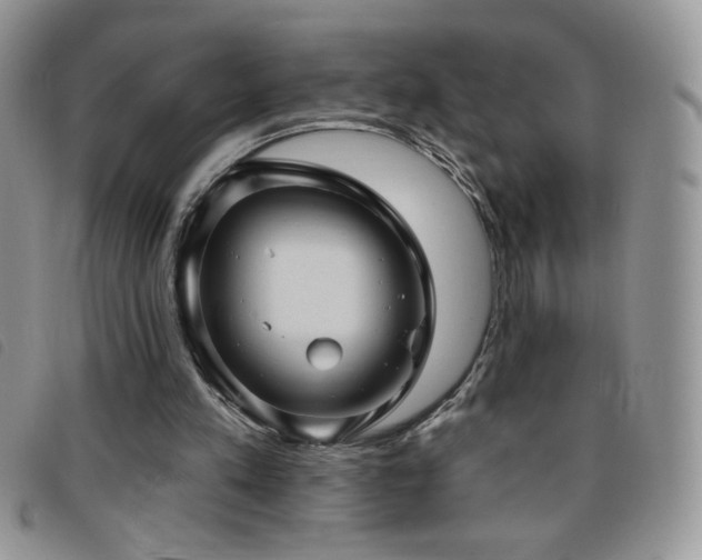X0000095960197200801111409