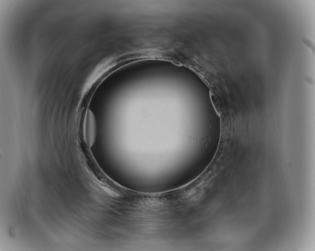 X0000095960198200801111409