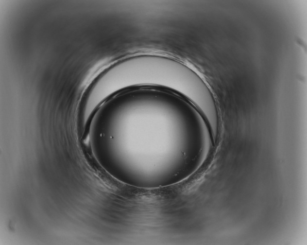 X0000095960199200801111409