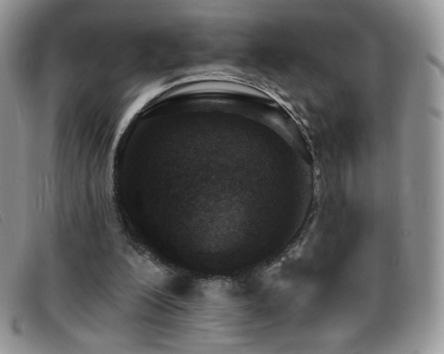 X0000095960200200801111409