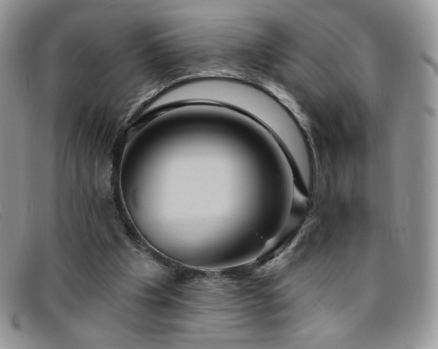 X0000095960201200801111409