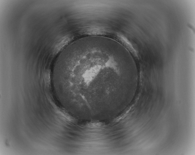 X0000095960202200801111409