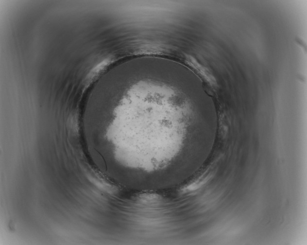 X0000095960203200801111409