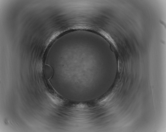 X0000095960204200801111409