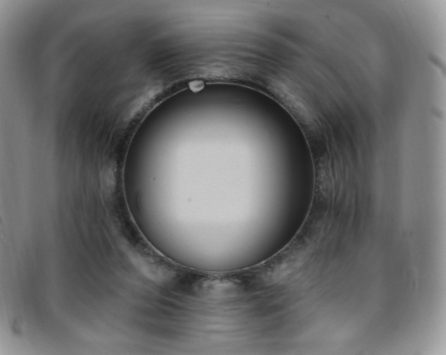 X0000095960208200801111409