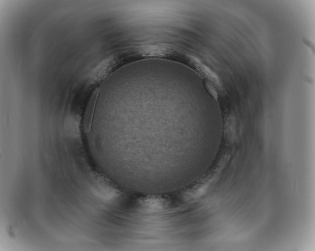 X0000095960209200801111409