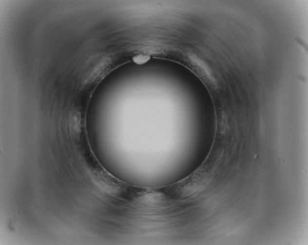 X0000095960210200801111409