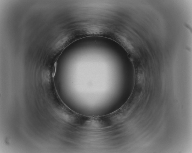 X0000095960211200801111409
