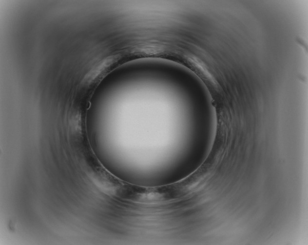 X0000095960212200801111409