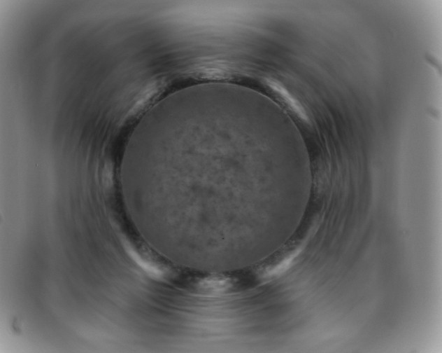 X0000095960213200801111409