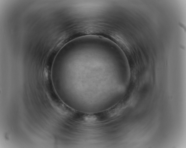 X0000095960214200801111409