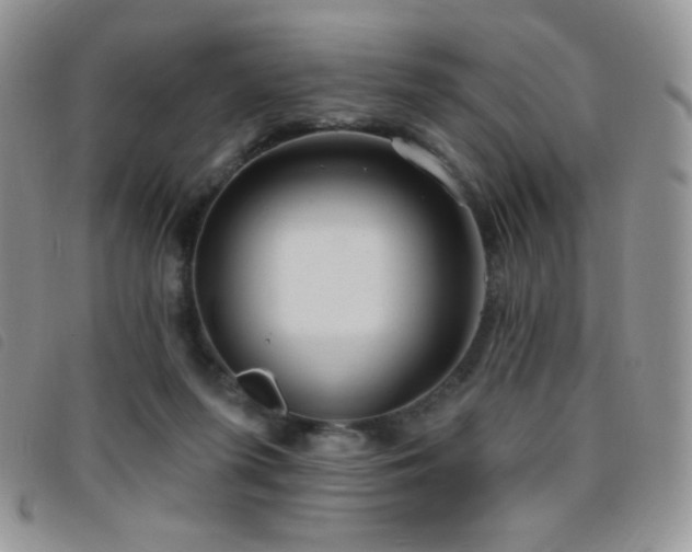 X0000095960215200801111409