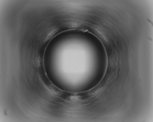 X0000095960216200801111409