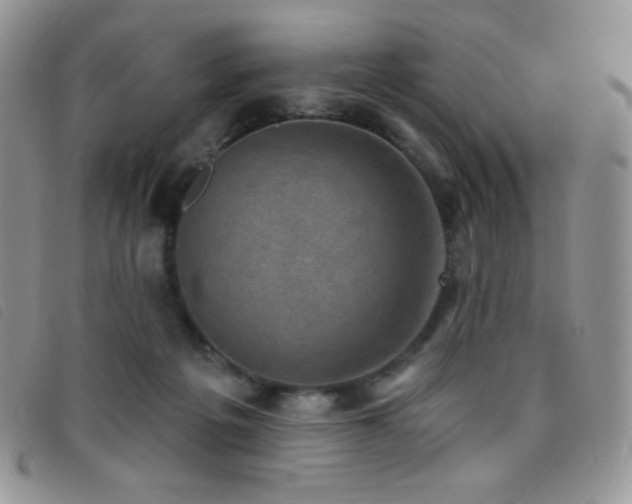 X0000095960217200801111409