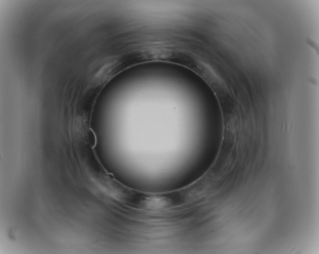 X0000095960218200801111409