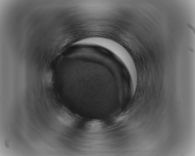 X0000095960219200801111409