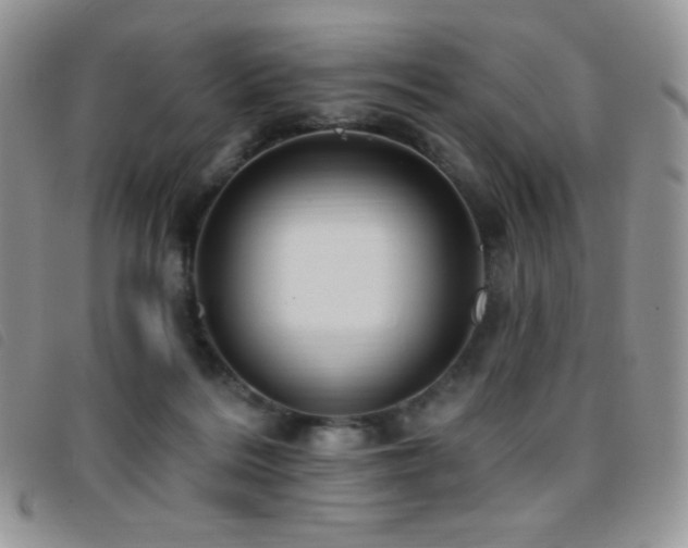 X0000095960220200801111409