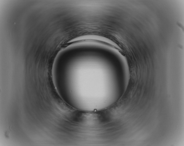 X0000095960221200801111409