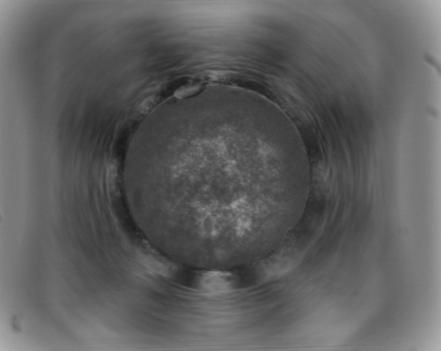 X0000095960222200801111409