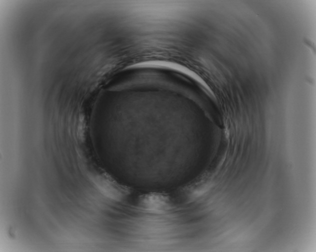 X0000095960223200801111409