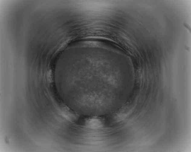 X0000095960224200801111409