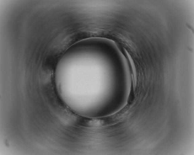 X0000095960225200801111409