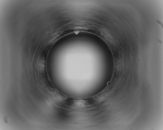 X0000095960226200801111409