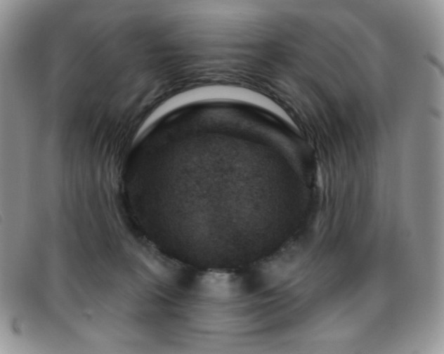 X0000095960227200801111409
