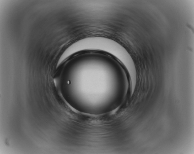 X0000095960228200801111409