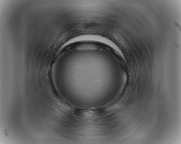 X0000095960229200801111409