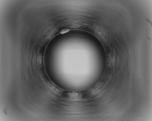 X0000095960230200801111409