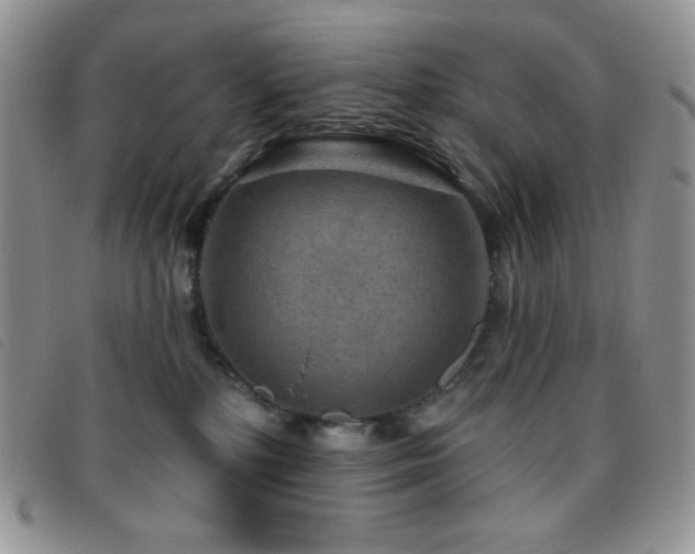 X0000095960232200801111408