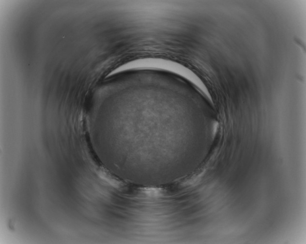 X0000095960233200801111408