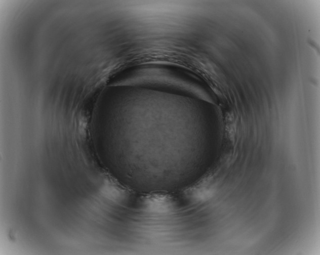 X0000095960235200801111408