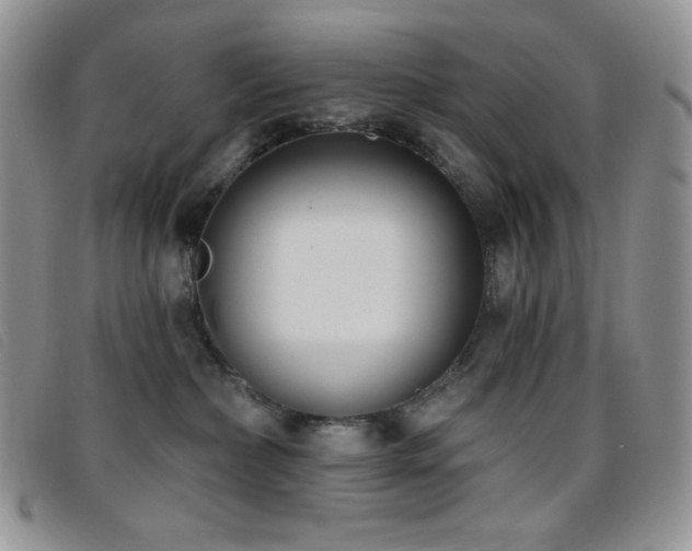 X0000095960236200801111408