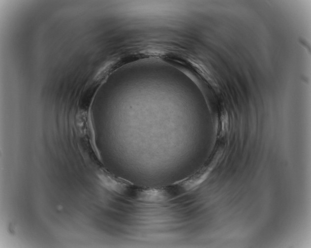 X0000095960237200801111408