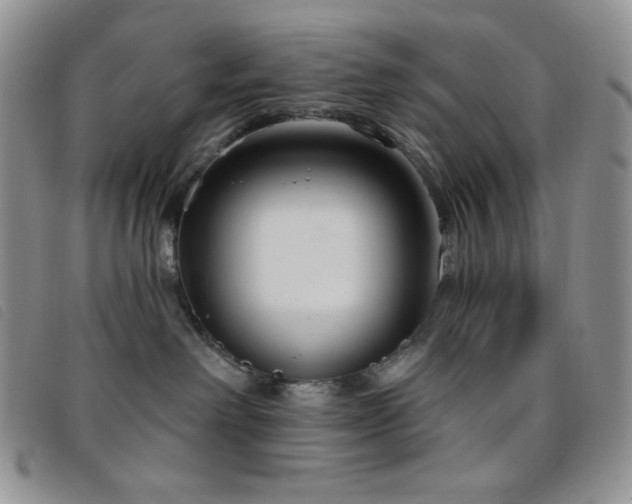 X0000095960238200801111408