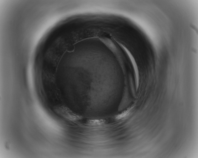 X0000095960239200801111408